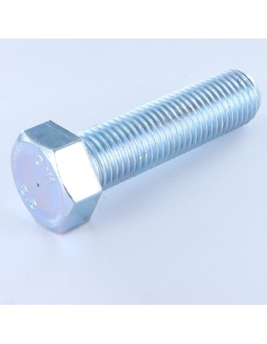1 x Metalen schroeven zeskantkop TH M30X80...