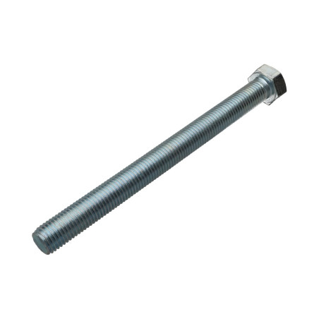 1 x Metalen schroeven zeskantkop TH M16X180 Klasse 8.8 Wit verzinkt staal