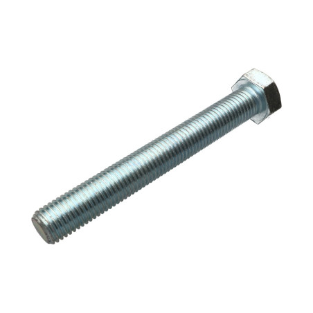 1 x Metalen schroeven zeskantkop TH M24X180 Klasse 8.8 Wit verzinkt staal