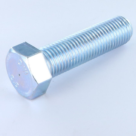 1 x Metalen schroeven zeskantkop TH M20X60 Klasse 8.8 Wit verzinkt staal