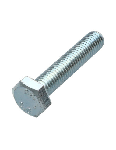 1 x Metalen schroeven zeskantkop TH M10X50...