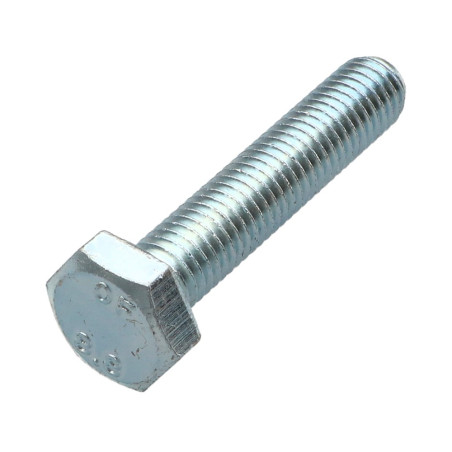 1 x Metalen schroeven zeskantkop TH M10X50 Klasse 8.8 Wit verzinkt staal