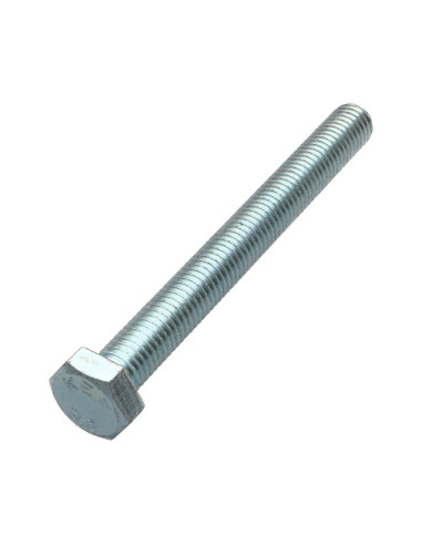 1 x Metalen schroeven zeskantkop TH M14X100...