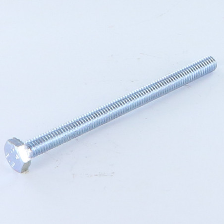 1 x Metalen schroeven zeskantkop TH M10X75 Klasse 8.8 Wit verzinkt staal