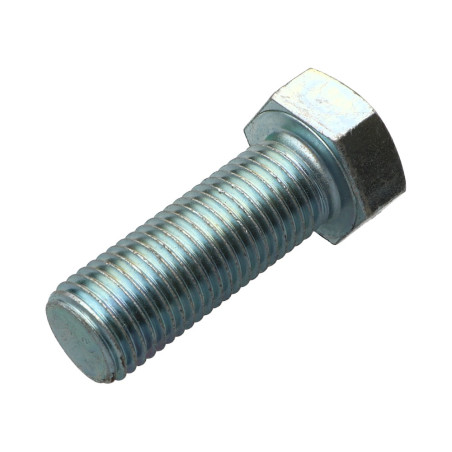 1 x Metalen schroeven zeskantkop TH M24X50 Klasse 8.8 Wit verzinkt staal
