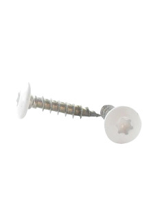Schroeven scharnier 7X40 bedraad op 38 TORX T30 RVS A2...