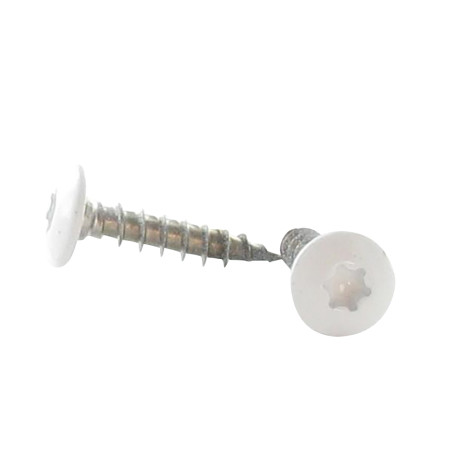 1 x Schroeven scharnier 7X40 bedraad op 38 TORX T30 RVS A2 RAL9010 zuiver wit 80% BRILLI