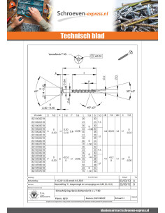 Schroeven scharnier 7X50 volledige draad TORX T30 RVS A2... 2