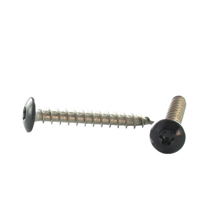 1 x Schroeven scharnier 6X50 bedraad op 38 TORX T30 RVS A2 zwarte lak RAL9005 donker zwart