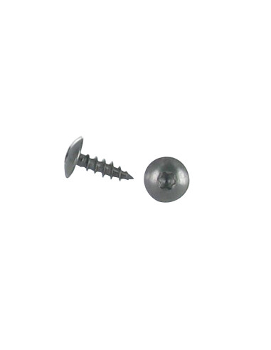 1 x Schroeven scharnier 6X20 volledige draad...