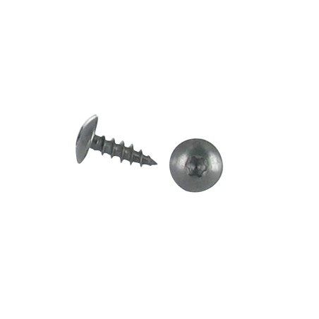 1 x Schroeven scharnier 6X20 volledige draad TORX T30 RVS A2 Zwart