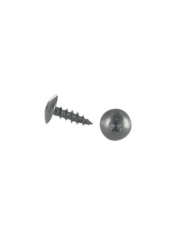 1 x Schroeven scharnier 6X30 volledige draad...