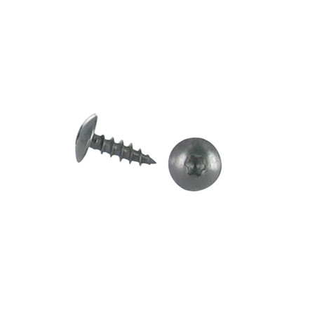 1 x Schroeven scharnier 6X30 volledige draad TORX T30 RVS A2 Zwart