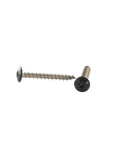 1 x Schroeven scharnier 6X30 volledige draad...