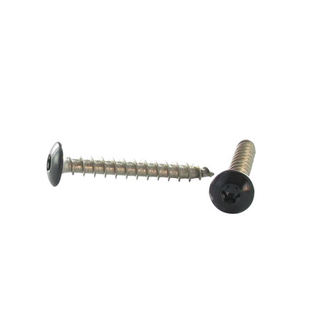 1 x Schroeven scharnier 6X30 volledige draad TORX T30 RVS A2 zwarte lak RAL9005 donker zwart