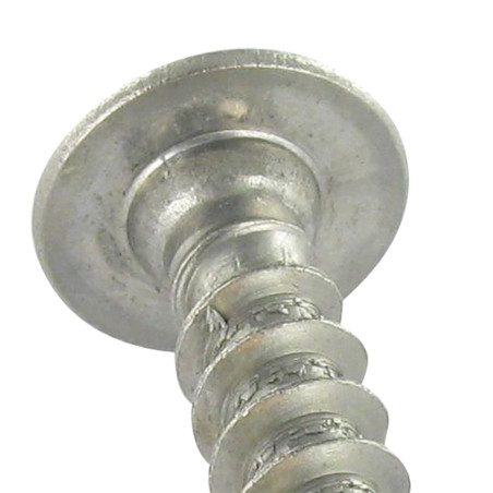 1 x Schroeven scharnier 7X30 volledige draad TORX T30 RVS A2