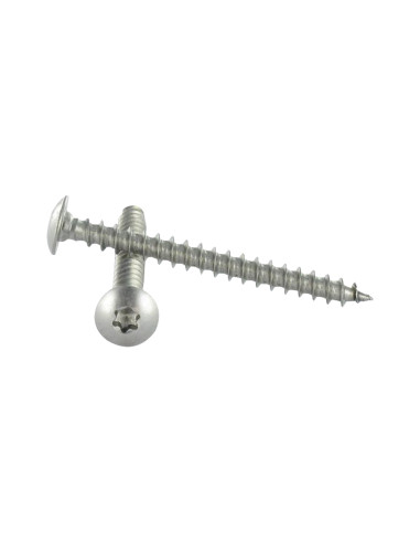 1 x Schroeven scharnier 6X30 volledige draad...