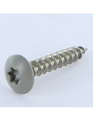 1 x Schroeven scharnier 6X35 bedraad op 30 TORX...