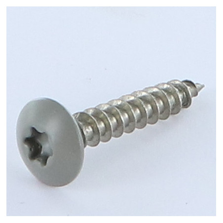 1 x Schroeven scharnier 6X35 bedraad op 30 TORX T30 RVS A2 RAL7023