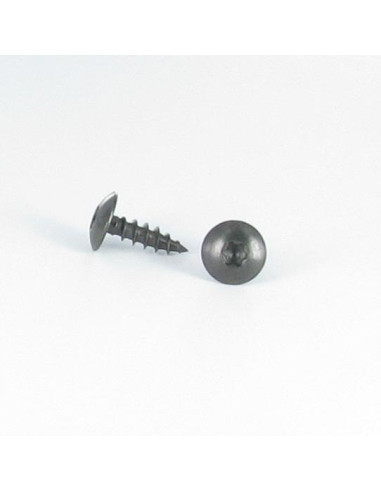 1 x Schroeven scharnier 6X40 bedraad op 38 TORX...