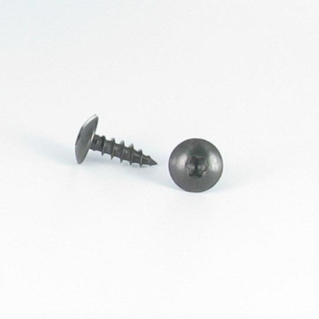 1 x Schroeven scharnier 6X40 bedraad op 38 TORX T30 RVS A2 Zwart