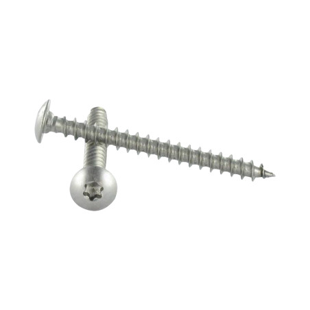 1 x Schroeven scharnier 7X60 bedraad op 54 TORX T30 RVS A2