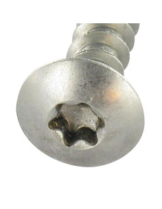 Schroeven scharnier 7X60 bedraad op 54 TORX T30 RVS A2 2