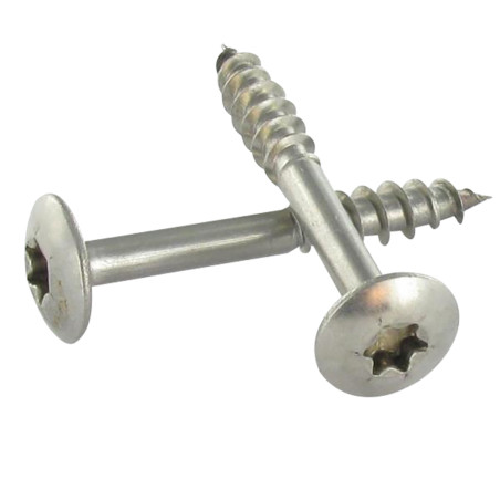 1 x Schroeven scharnier 6X43 bedraad op 20 gedeeltelijke draad TORX T30 RVS A2