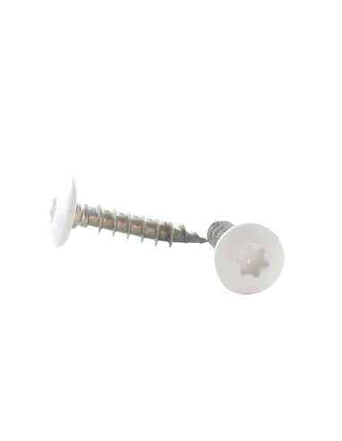 1 x Schroeven scharnier 6X30 volledige draad...