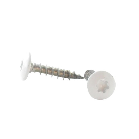 1 x Schroeven scharnier 6X30 volledige draad TORX T30 RVS A2 witte lak RAL9016 verkeerswit