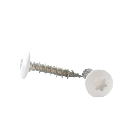 1 x Schroeven scharnier 7X45 bedraad op 38 TORX T30 RVS A2 witte lak RAL9010 zuiver wit