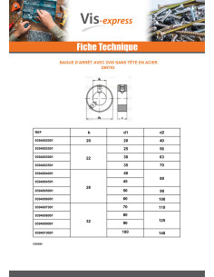 Ring met 2 Schroeven zonder kop zeshoekig hol diameter... 2