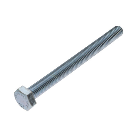 1 x Metalen schroeven zeskantkop TH M12X100 klasse 10.9 Wit verzinkt staal