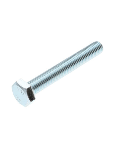 1 x Metalen schroeven zeskantkop TH M10X80...