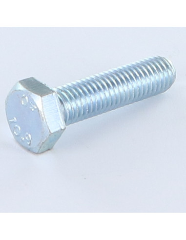 1 x Metalen schroeven zeskantkop TH M8X25...