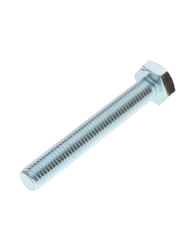 1 x Metalen schroeven zeskantkop TH M16X70...
