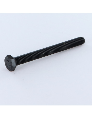 1 x Metalen schroeven zeskantkop TH M22X70...