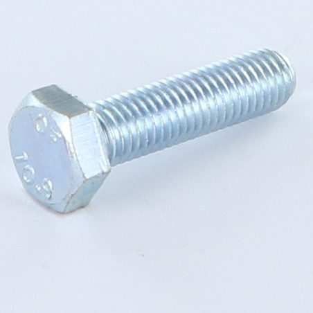 1 x Metalen schroeven zeskantkop TH M8X20 klasse 10.9 Wit verzinkt staal