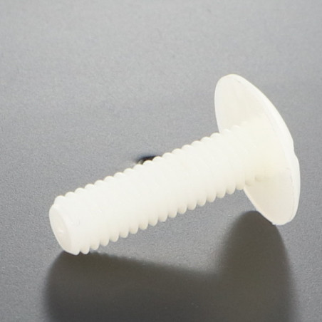 1 x Schroeven Bolkop breed rond natuurlijk nylon polyamide 6.6 M5X30