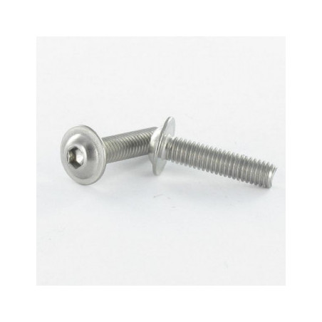 1 x Metalen schroeven Zeshoekig hol kraagflens M4X20 klasse 10.9 Wit verzinkt staal