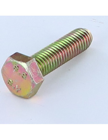 1 x Metalen schroeven zeskantkop TH M8X12...
