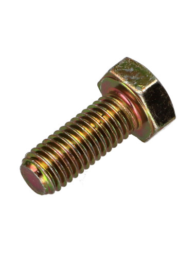 1 x Metalen schroeven zeskantkop TH M8X12...