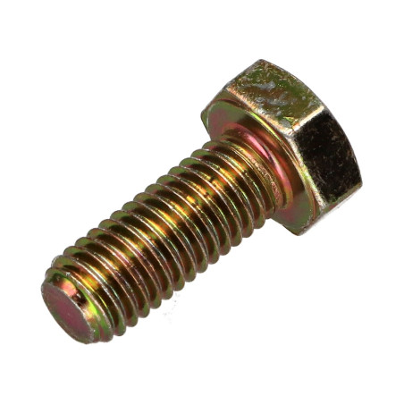 1 x Metalen schroeven zeskantkop TH M8X12 Klasse 8.8 Bichromaat