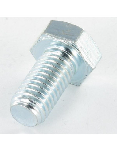 1 x Metalen schroeven zeskantkop TH M30X40...