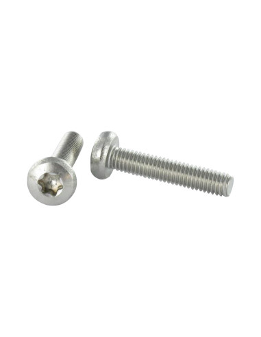 1 x Metalen schroeven bolvormige kopschroef RVS...