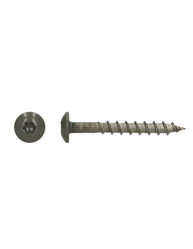 1 x Schroeven scharnier 4,5X35 TORX T20 A4 RVS...