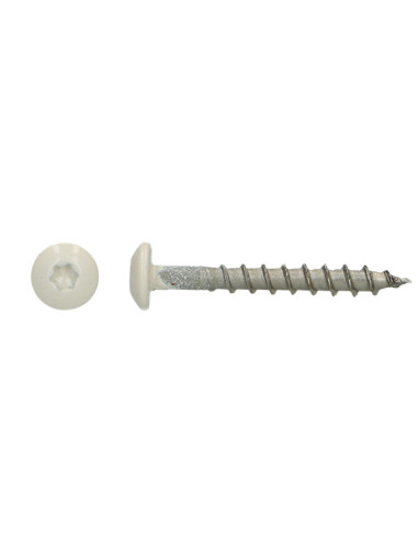 1 x Schroeven scharnier 4,5X35 TORX T20 A4 RVS...