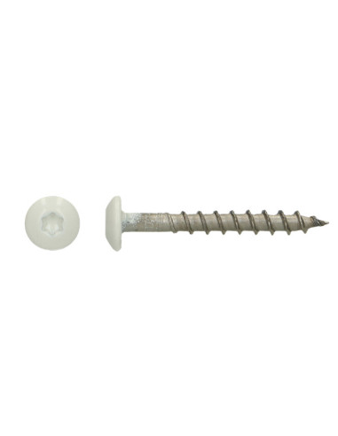 1 x Schroeven scharnier 4,5X35 TORX T20 A4 RVS...