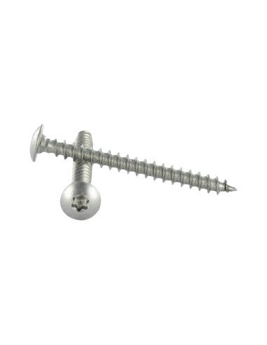 1 x Schroeven scharnier 7X50 TORX T30 A4 RVS