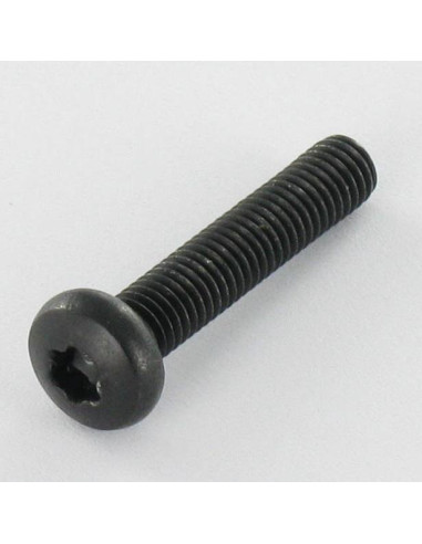 1 x Metalen schroeven bolvormige kopschroef RVS...